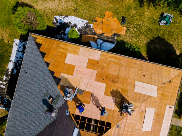 Best Roof Repair Services  in Richton, MS