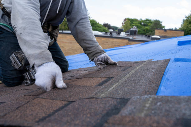 Best Roof Gutter Cleaning  in Richton, MS