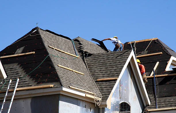 Best Best Roofing Contractors  in Richton, MS