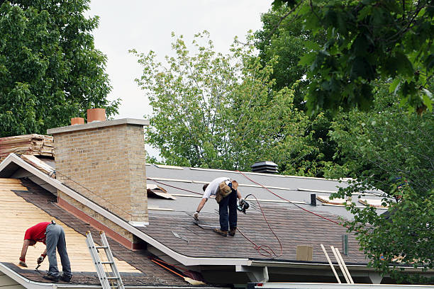 Best Roof Maintenance Services  in Richton, MS